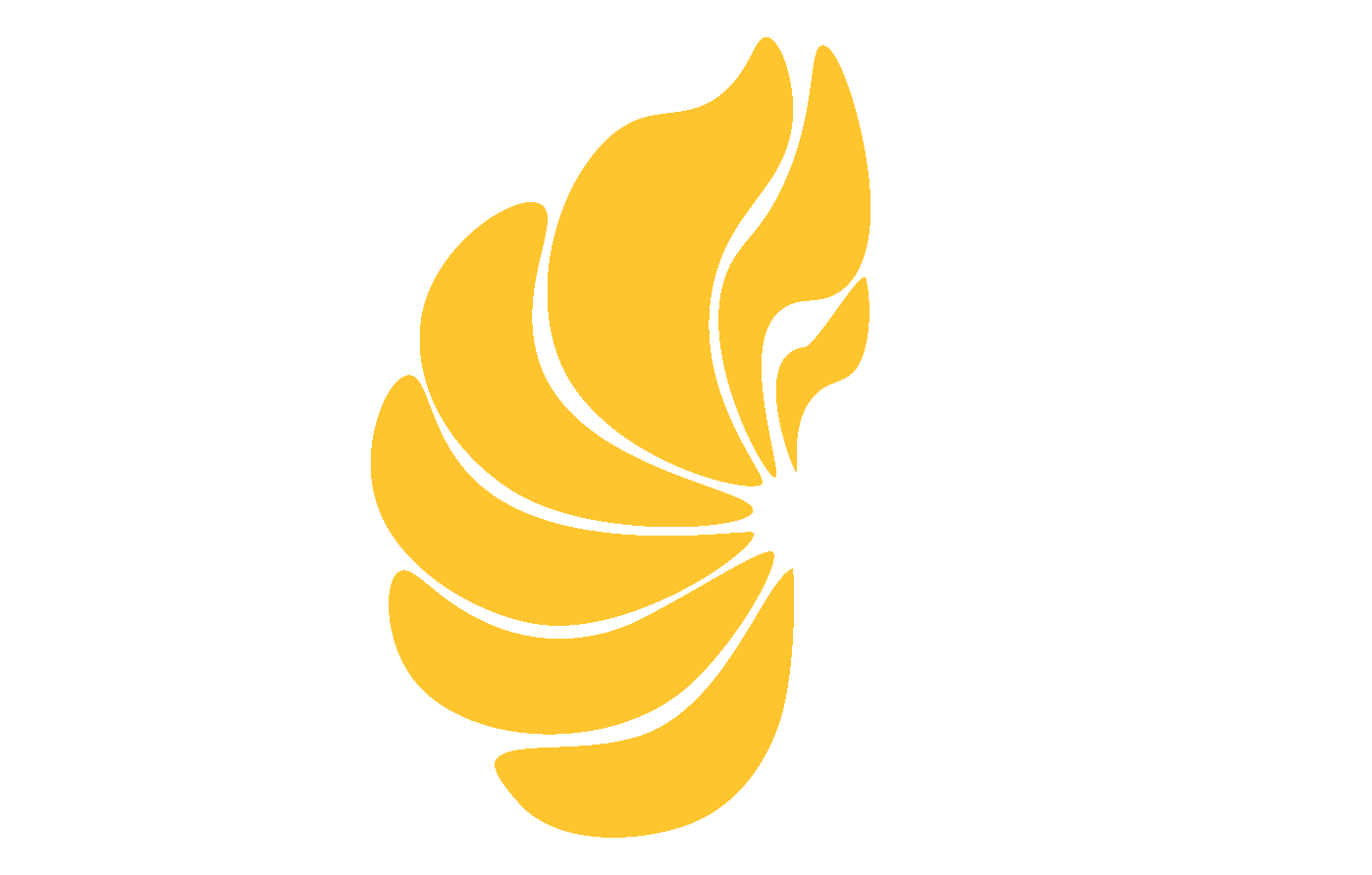 HANEI KIBIN_FONDO TRANSPARENTE.png